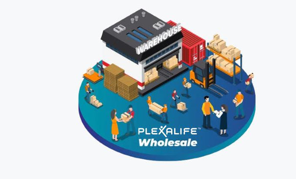 Illustration of a warehouse with people and boxes, featuring the Plexalife Wholesale logo.